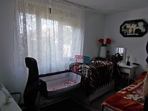 Casa P+M, Sacalaz, vatra satului, 5camere, 620mp teren, mobilat, utilat - imagine 11