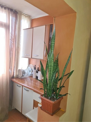 Apartament 2 camere cu centrala proprie, Motru - imagine 4