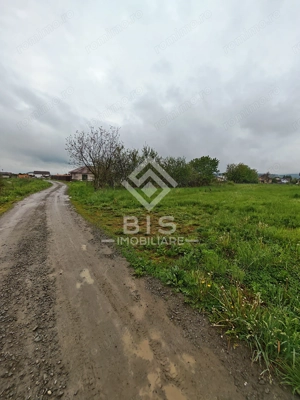 Teren Intravilan 1000 mp -   str Bistritei - Unirea - imagine 11