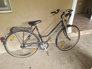 Bicicleta dama