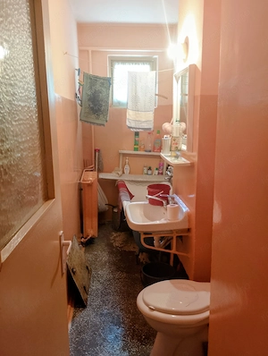 CI655 Sagului,2camere,bloc izolat - imagine 9