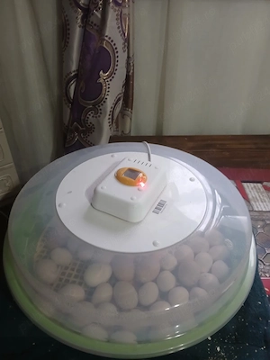 vand incubator