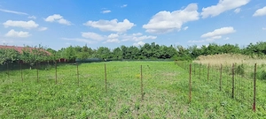 Teren Intravilan Hemeiuș 940mp | Deschidere 40m | PUZ & PUD incluse   Gata de construit