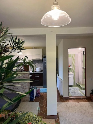 Casă 4 camere, P+M, 1200 MP teren intravilan, Săldăbagiu de Munte. - imagine 2