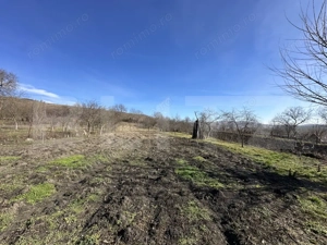 Casa la tara, 4000 mp teren, utilitati, acces A10, sat Dumbrava - imagine 6