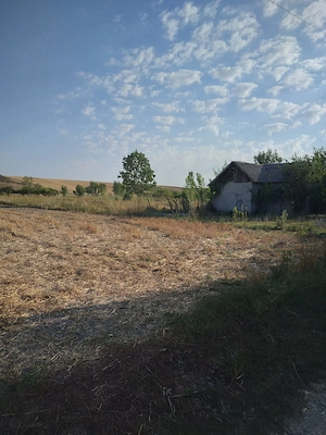Casa si teren intravilan de vanzare teleorman
