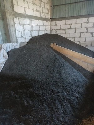 vand floarea soarelui