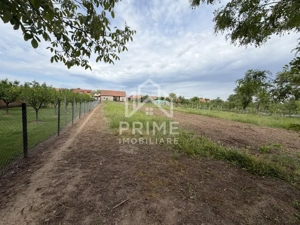 Teren Intravilan 3.514 mp | SAT CIUGUD | Oportunitate | TOATE UTILITATILE | - imagine 2