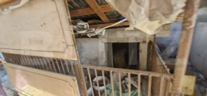 Gospodărie completă, casă 140 mp, teren 770 mp - zona Găești  - imagine 10