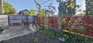 Gospodărie completă, casă 140 mp, teren 770 mp - zona Găești  - imagine 7