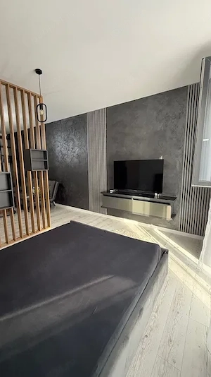 Apartament cu 1 camera -  Zona Torontalului - imagine 7