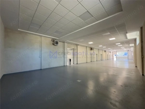 Hale Valea Lupului, zona Antibiotice, de la 334mp la 1000mp - imagine 6