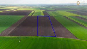 Teren cu potential 6,9 ha in Munar - imagine 2