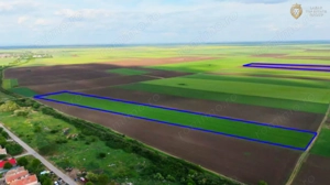 Teren cu potential 6,9 ha in Munar - imagine 5