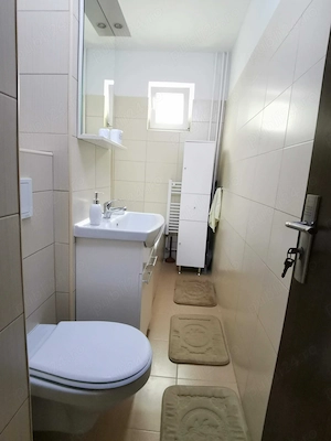 Apartament cu 2 camere, parter, zona Sagului