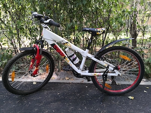 Bicicleta MTB Cygnus Dirt Rider suspensie aluminiu 24" 21 viteze