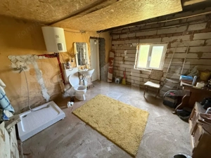 Casa partial renovata, 60mp utili , 6000 mp teren, zona Georocu Mare - imagine 9