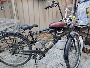 bicicleta cu motor 