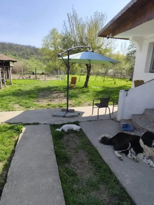 Casă renovată complet, 1800 mp teren, zonă liniștită în Cornița - imagine 3