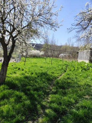 Casă renovată complet, 1800 mp teren, zonă liniștită în Cornița - imagine 5