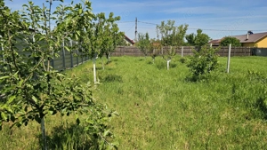 DUMBRAVA - 1219 mp Teren ideal casă – asfalt, utilități - imagine 8