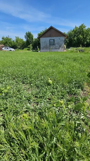 DUMBRAVA - 1219 mp Teren ideal casă – asfalt, utilități - imagine 4