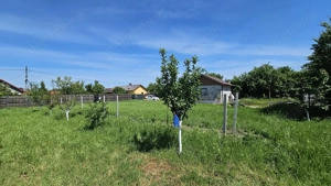DUMBRAVA - 1219 mp Teren ideal casă – asfalt, utilități - imagine 6