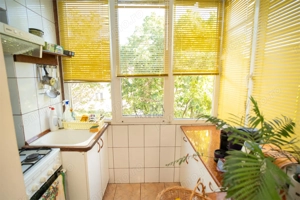 Apartament cu 3 camere, tip PB, Decebal - imagine 6