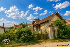 FILM! 2.700mp teren cu casa personalizabila, pomi fructiferi,langa Sfantu Gheorghe: Santionlunca - imagine 5
