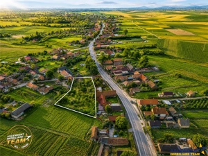 FILM! 2.700mp teren cu casa personalizabila, pomi fructiferi,langa Sfantu Gheorghe: Santionlunca