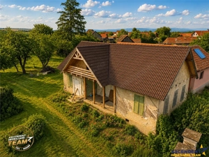 FILM! 2.700mp teren cu casa personalizabila, pomi fructiferi,langa Sfantu Gheorghe: Santionlunca - imagine 7