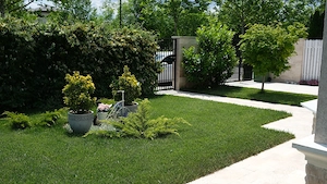 Corbeanca Park | Casa cu curte si loc de promenada | circuit privat | langa padure - imagine 3