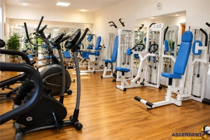 Resort turistic aristocrat, 6.200mp parc privat,teren tenis,piscina,wellness,sala evenimente..si pov - imagine 20