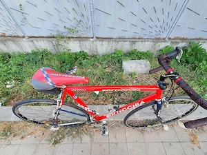 Cursieră botecchia reparto corse 