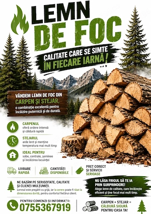    lemne de foc   