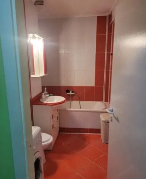 Tudor - Inchiriere apartament 1 camera - Str. Muntenia - imagine 5