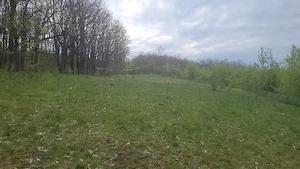 teren leamna si Bucovăț 