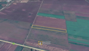 teren agricol de vanzare Vladimirescu, Arad - imagine 2