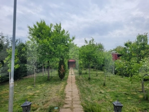 Casa individuala, 3 camere, 95 mp, zona Sacalaz - imagine 12