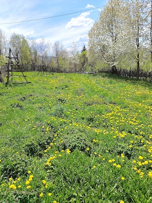 Teren de vinzare valea doftanei 35 euro negociabil  - imagine 4