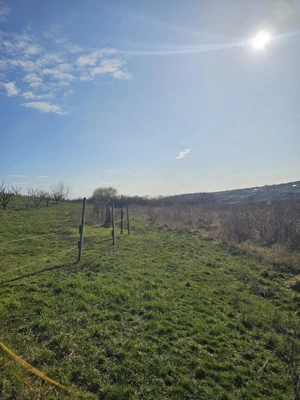 Teren intravilan Saldabagiu de Munte 850 mp - imagine 4
