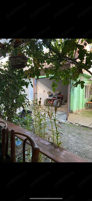 Vand casa cu teren de 18 arii in Sanpetru Almasului - imagine 10
