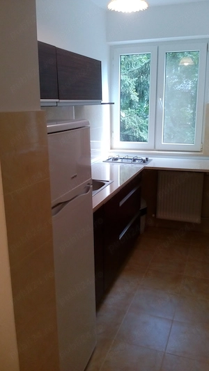 Proprietar, 2 camere, Dacia, aproape de Iulius Mall - imagine 10