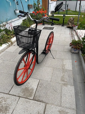 Trotineta dimensiune mare