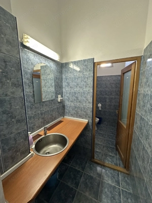 Spatiu comercial Calea Aradului - imagine 18