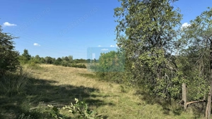 Vânzare teren Reșița: 17260 mp, Calea Caransebeșului
 - imagine 2