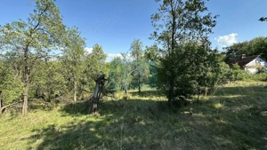 Vânzare teren Reșița: 17260 mp, Calea Caransebeșului
 - imagine 3