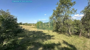 Vânzare teren Reșița: 17260 mp, Calea Caransebeșului
