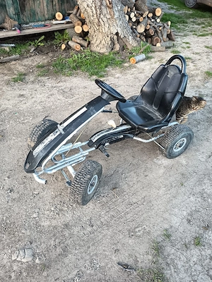 vand kart copii
