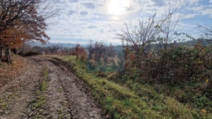 Teren de vânzare in Groși, Maramureș, 55 ari  - imagine 8